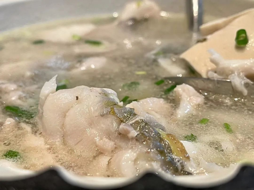 潮爸家7月20日午餐记录，尝鲜湛江野生青衣鱼，舌尖上的珍贵海鱼