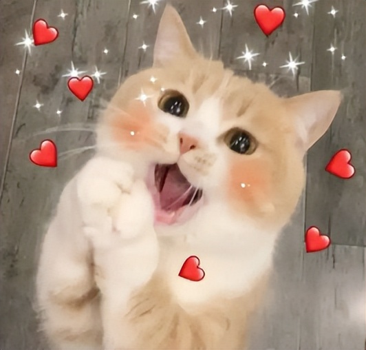 超低价多地飞三亚机票0.5折起,上海飞三亚为什么那么便宜