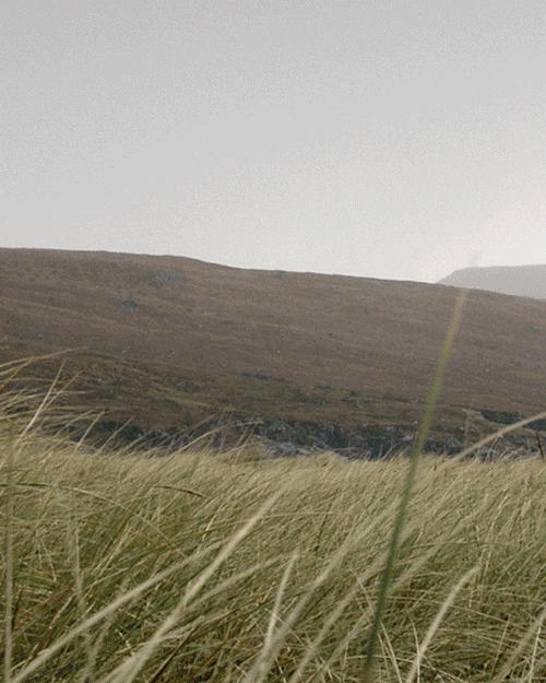 刘宇张艺兴混剪,刘宇张艺兴跳舞