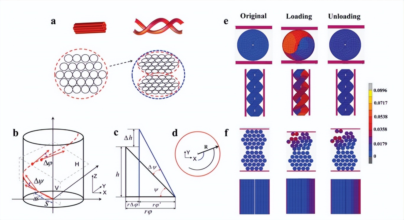以dna为模板合成dna,以dna双螺旋结构为基础的理论