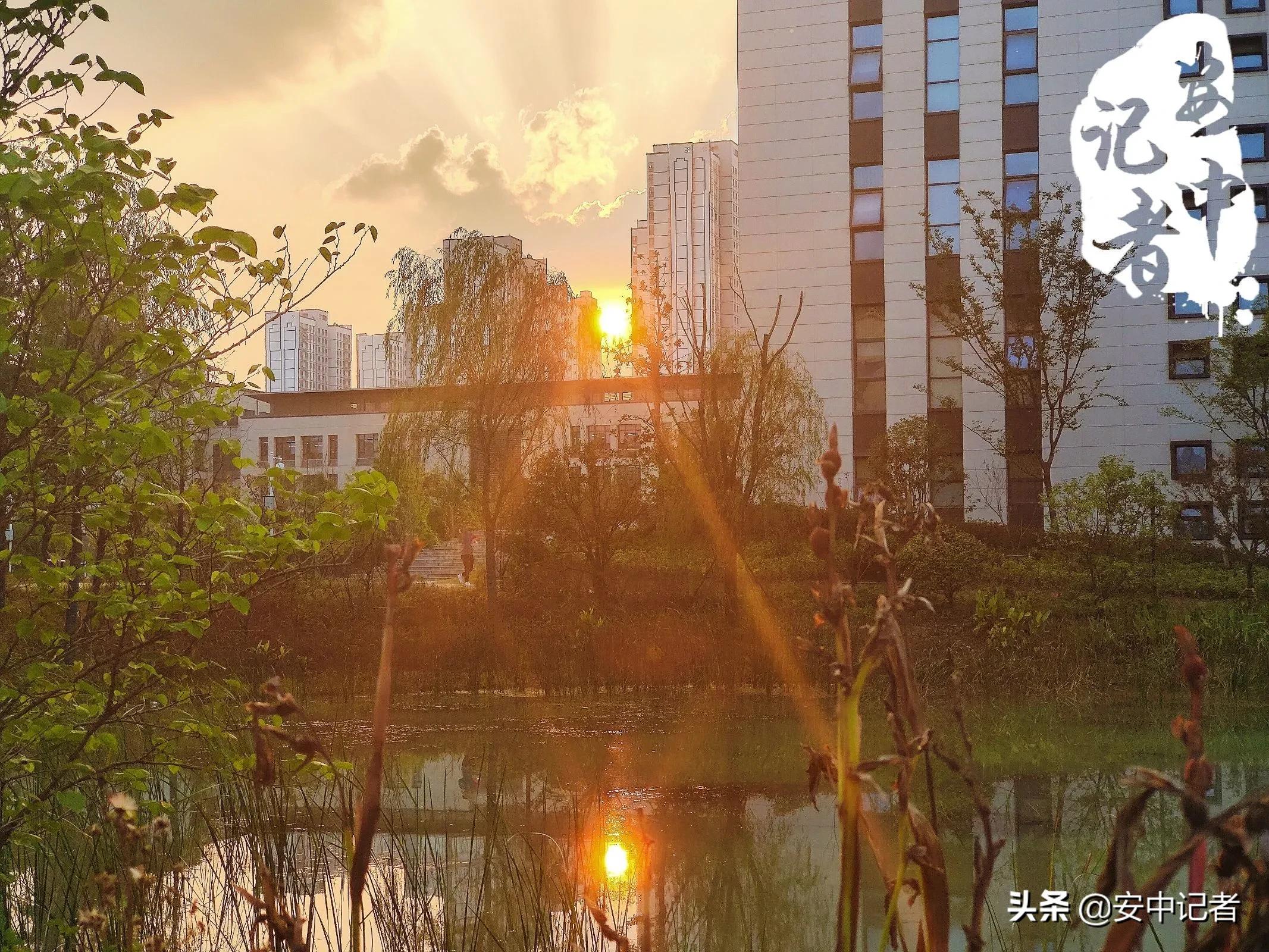 安中医的简介,安中医门诊