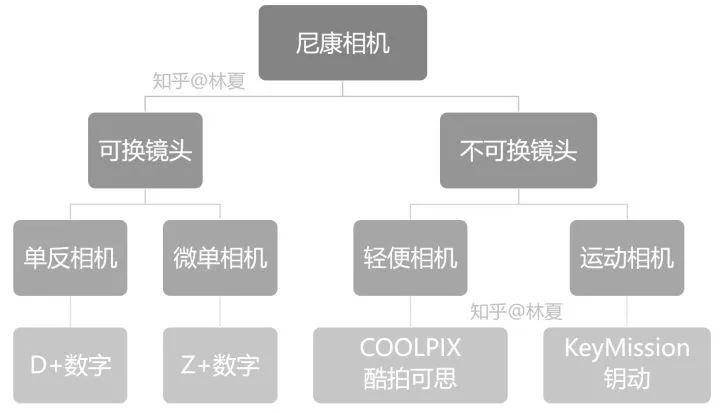 尼康2022最新发布的相机参数,2022年尼康新款单反计划