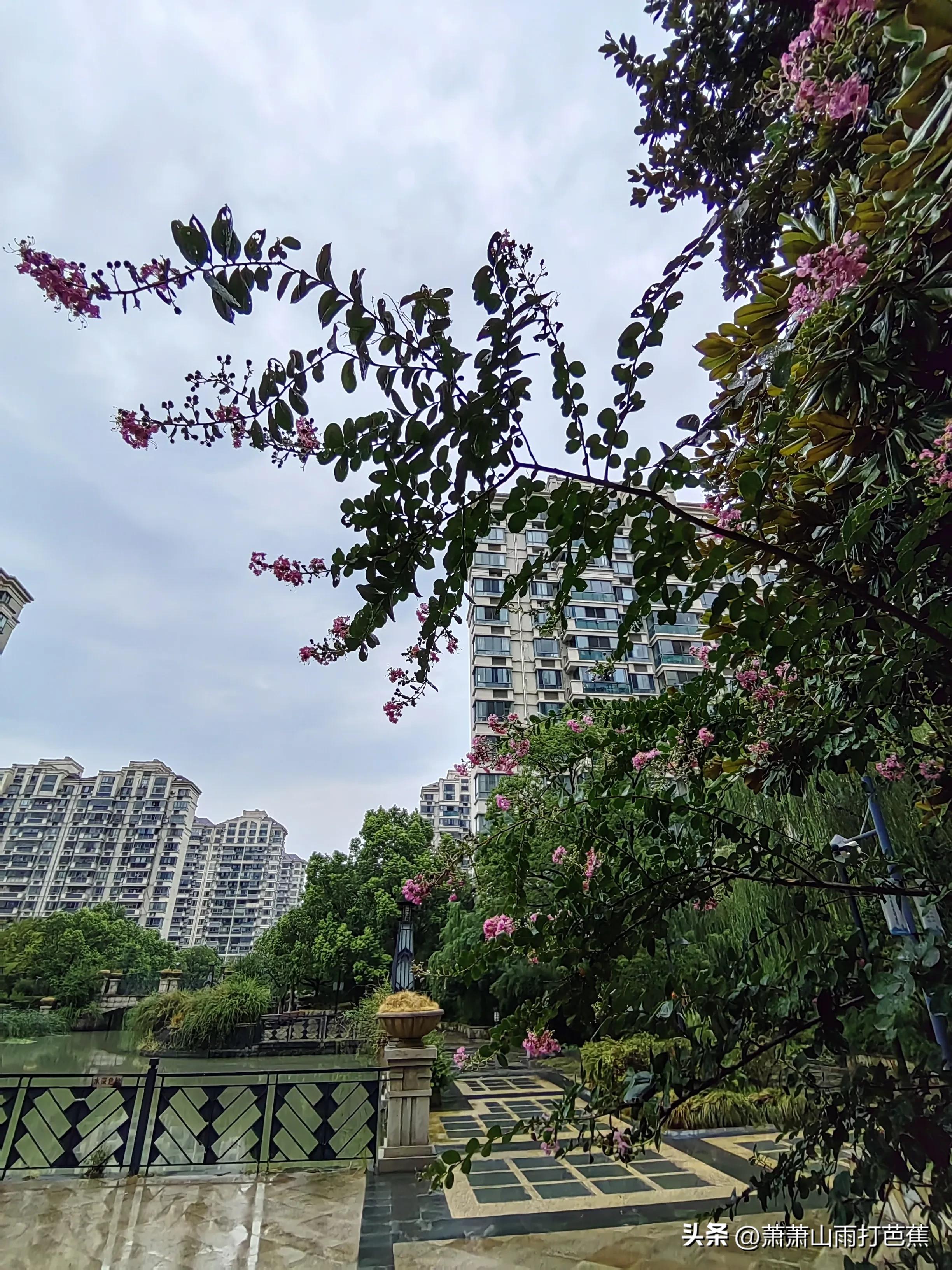 保姆轶事3,保姆轶事第二十三集