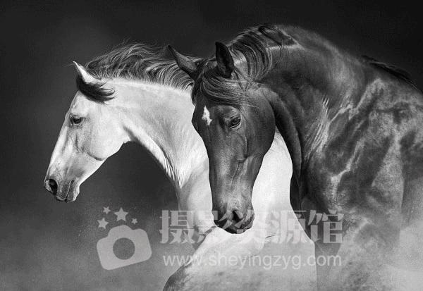 ps2023滤镜降噪功能在哪里,ps2024人像插件5.0使用教程