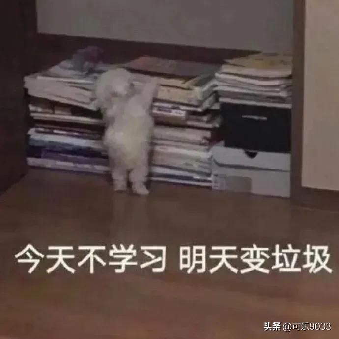 治愈系神仙温柔文案配音,唯美文案治愈系小短文