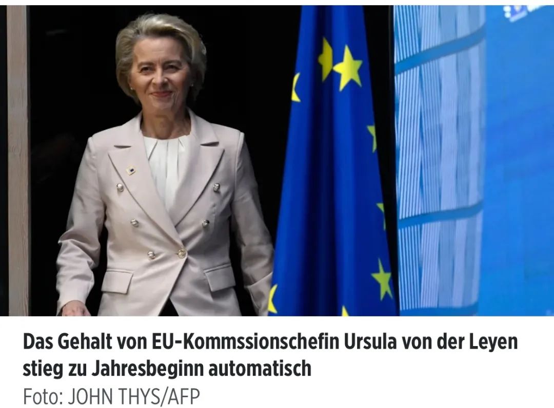 中国旅客入境德国有新规！