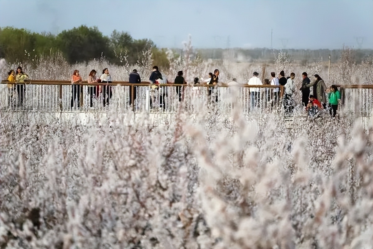 52个创意宣传点子,有什么好的创意宣传方式