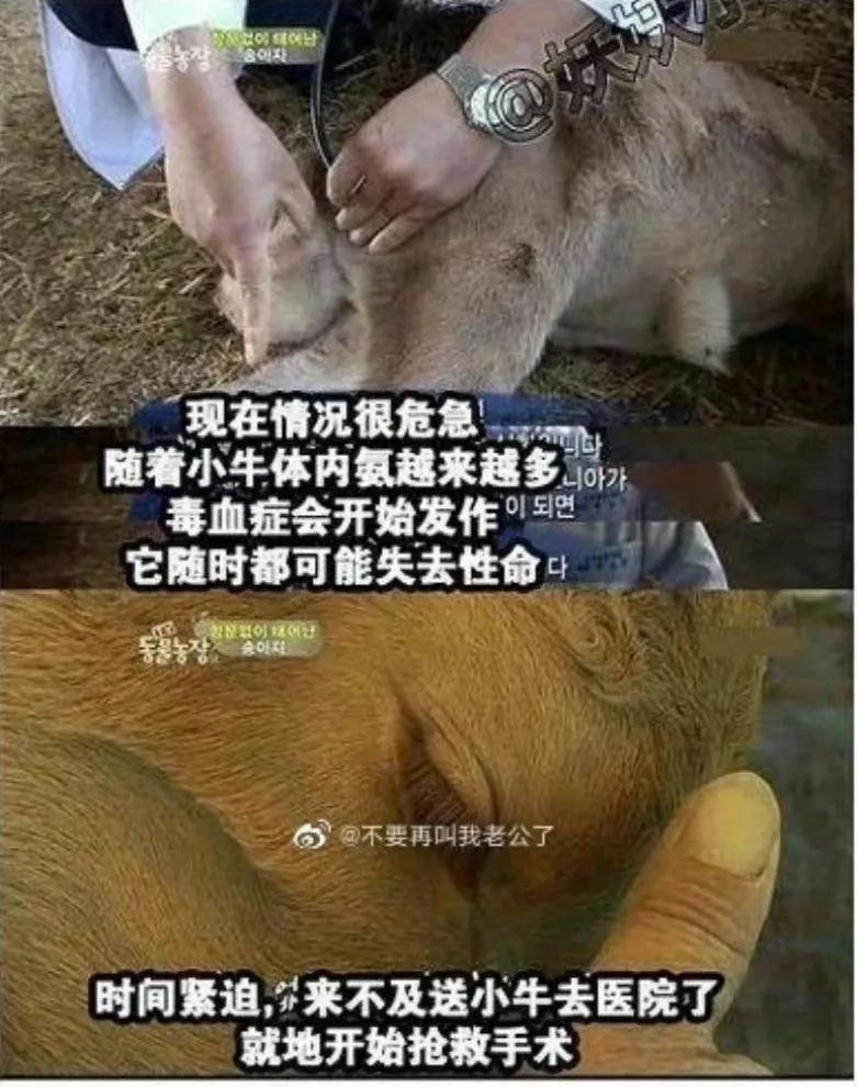 出生时没有肛门，有人却说要养他一辈子