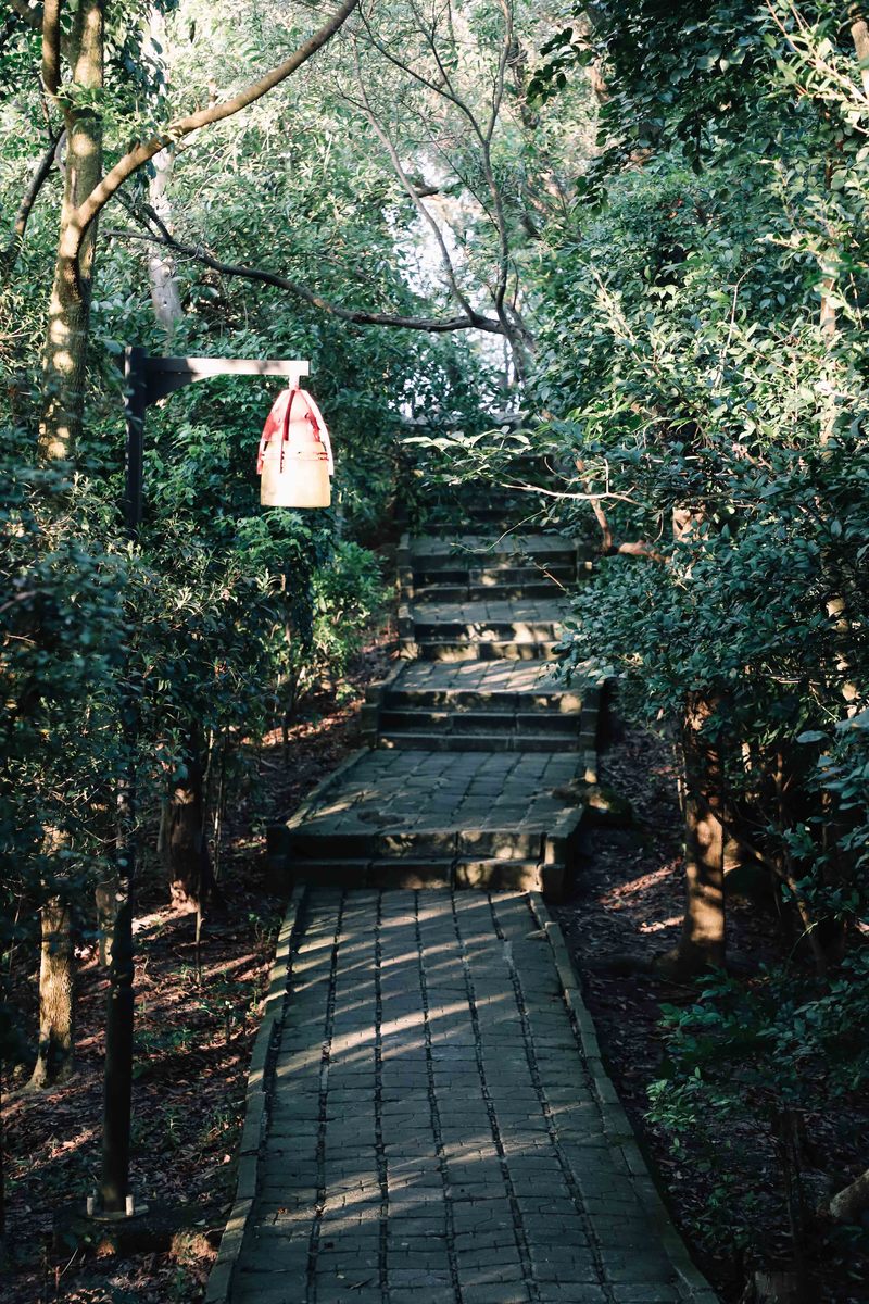 深圳湾公园最佳观景时间,深圳湾公园深圳市南山区最美公园