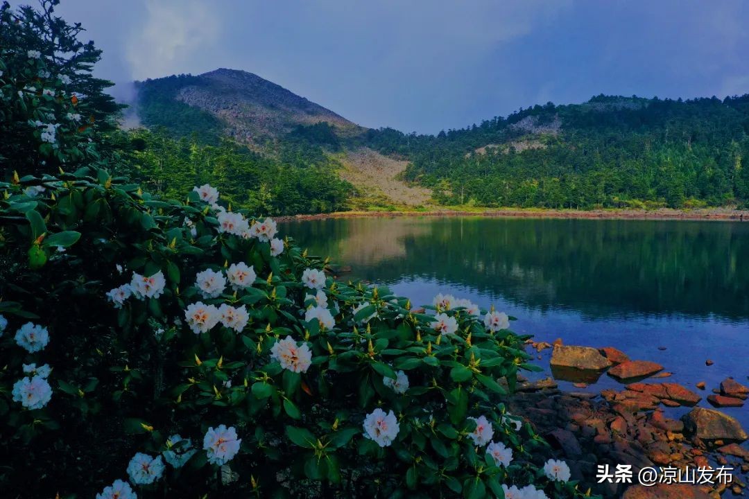 2019年彝族火把节凉山,彝族火把节2023年阳历几号