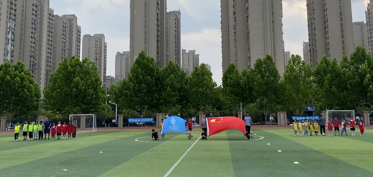 安徽合肥市包河区金葡萄小学,合肥市金葡萄小学