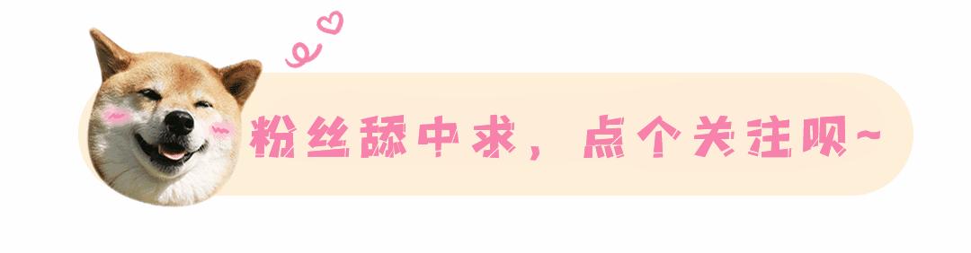 在家也能享受专业咖啡师手艺，宜盾普EOS意式半自动咖啡机体验