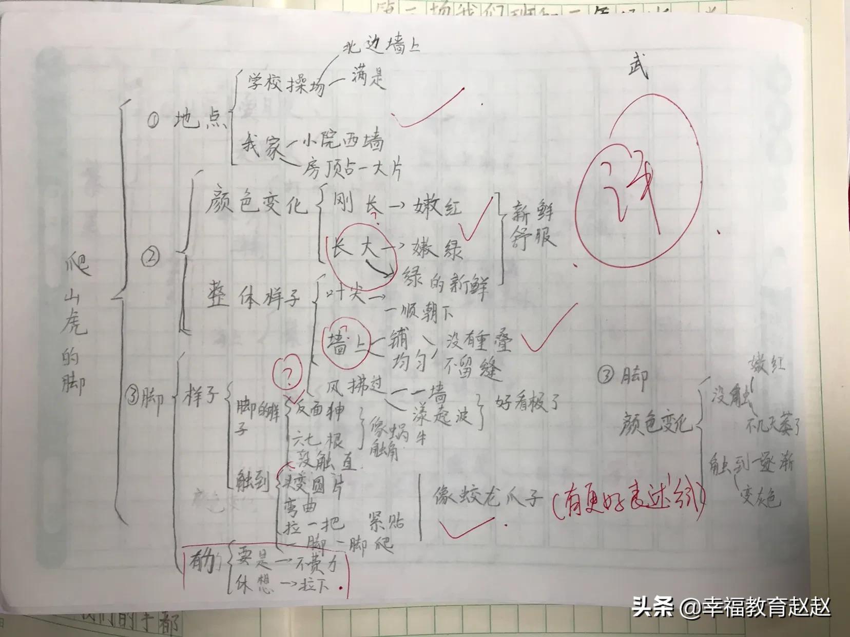 爬山虎的脚思维导图怎么画图片,爬山虎的脚思维导图绘画过程