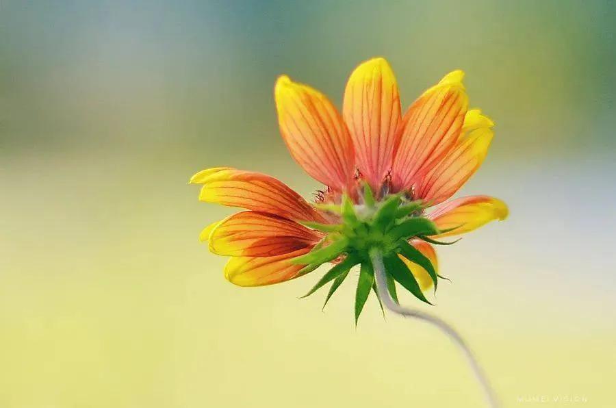 细数流年温暖时光,追忆往昔美好的年华