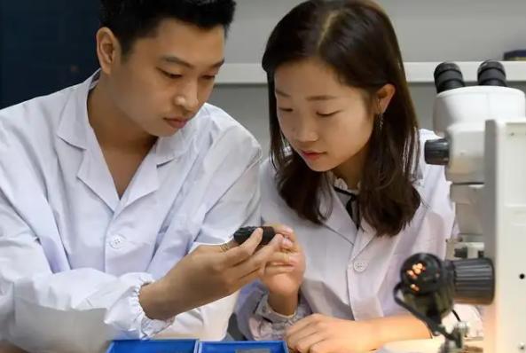 中科院科学家辞职,中科院科学家辞职的原因