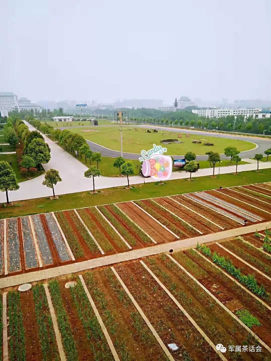 随军不随调可以住家庭公寓吗,随军不随调