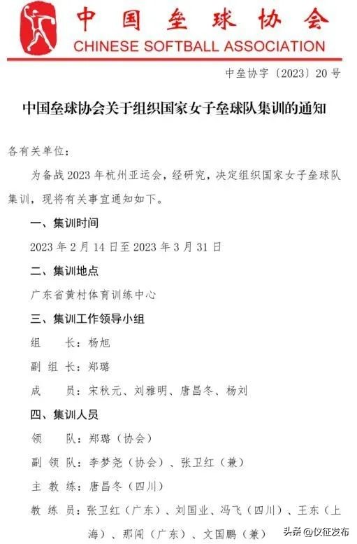 荣耀国家队成员,荣耀国家队