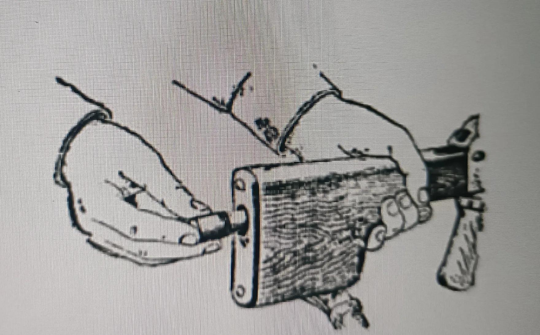 如何拆卸柯尔特,怎么拆卸并组装卡