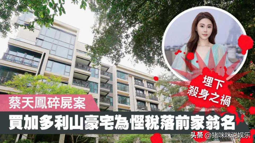 名媛碎尸案影响,名媛碎尸案凶手