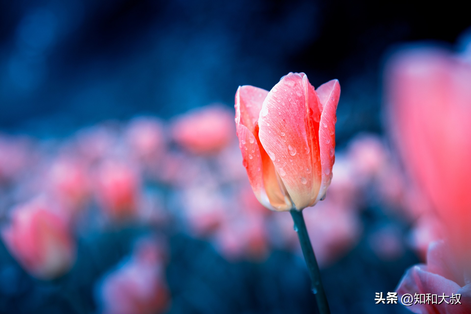 好父母的7条标准，中3条以上的，孩子长大必有出息