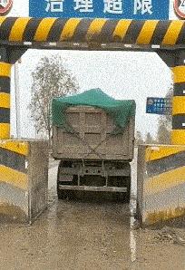 爆笑：以你们的智商，怎么能生意兴隆啊