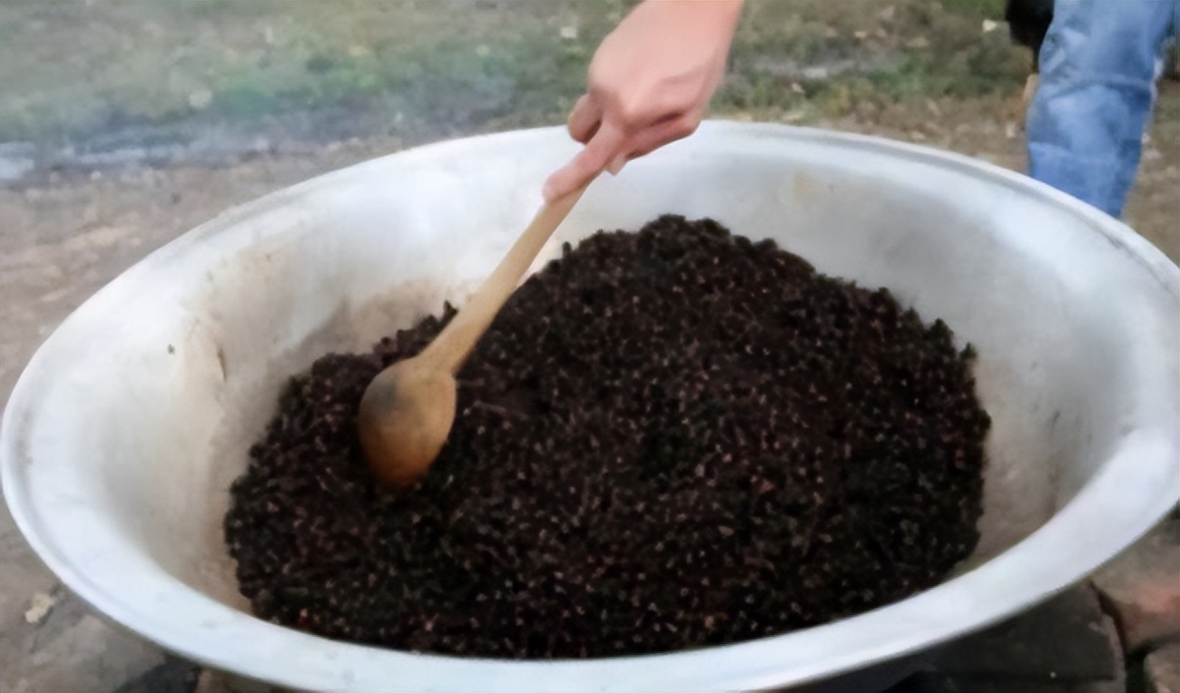 王奉友判多久,王奉友赔偿养蚂蚁了吗