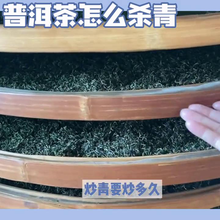 普洱茶的萎凋和杀青的作用,普洱茶制作工艺萎凋程度