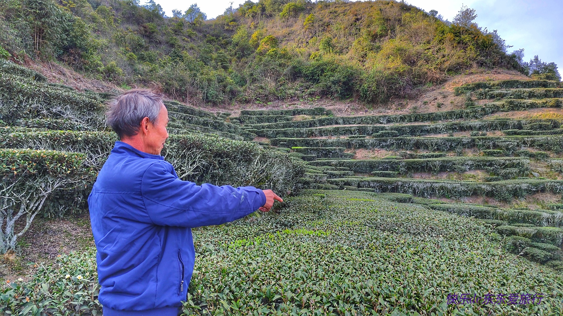大家纷纷出去赏樱花，我却和老婆偷偷去山里看松树花，收获如何？