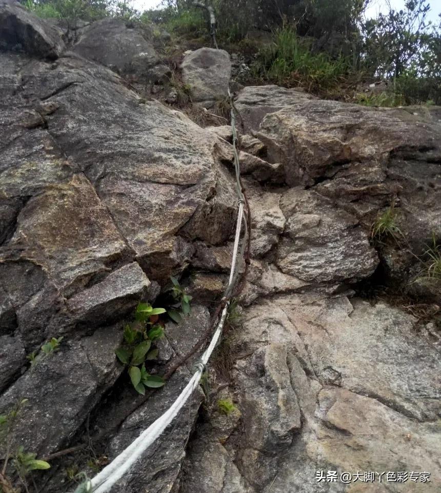 三刷最后结局是什么,三刷广州