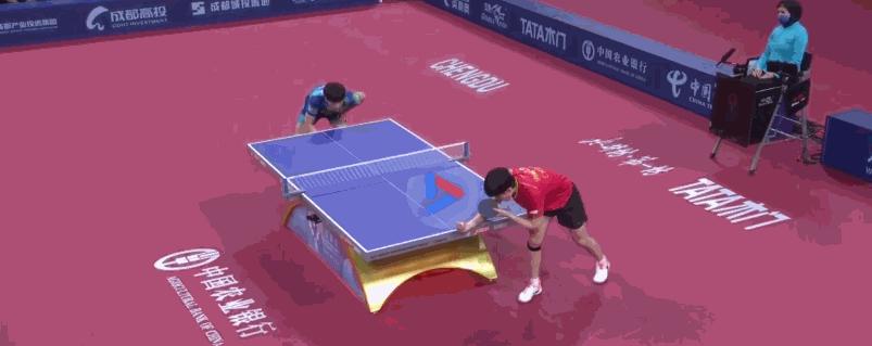 张本智和赢了樊振东和王楚钦,张本智和连赢王楚钦和樊振东