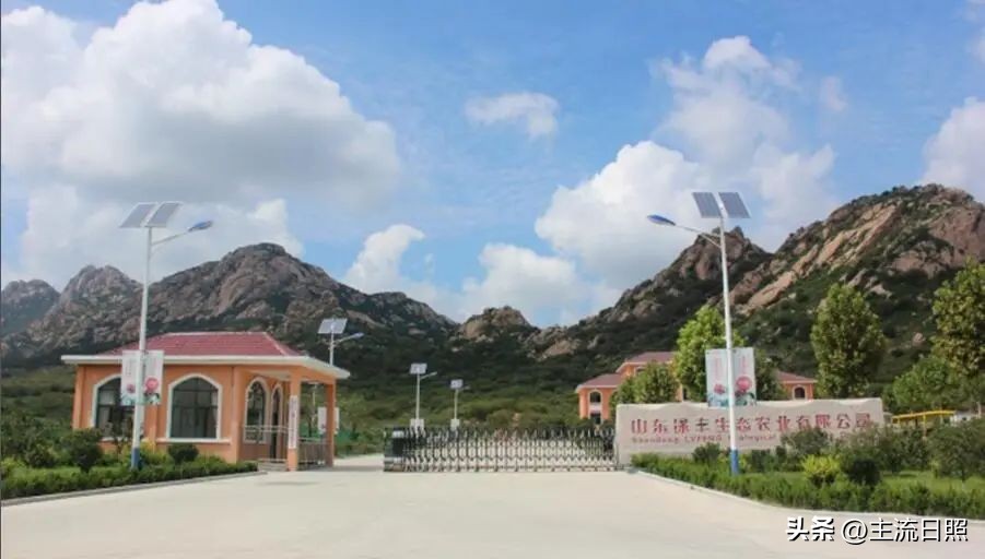 山东康洋电源有限公司冯启勇,山东康洋集团冯启勇讲课视频