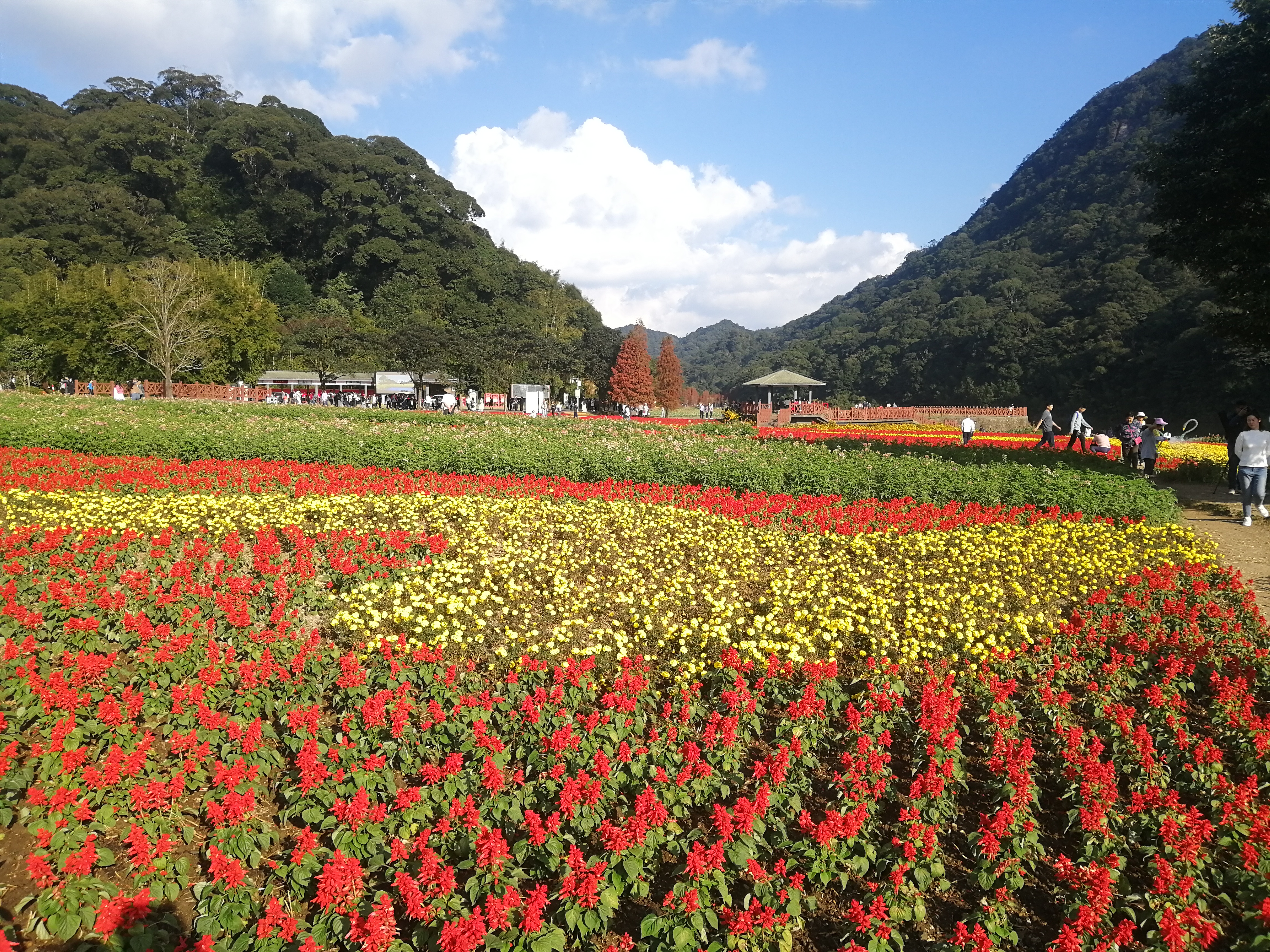 石门森林公园樱花谷交通线路,从化石门公园枫叶