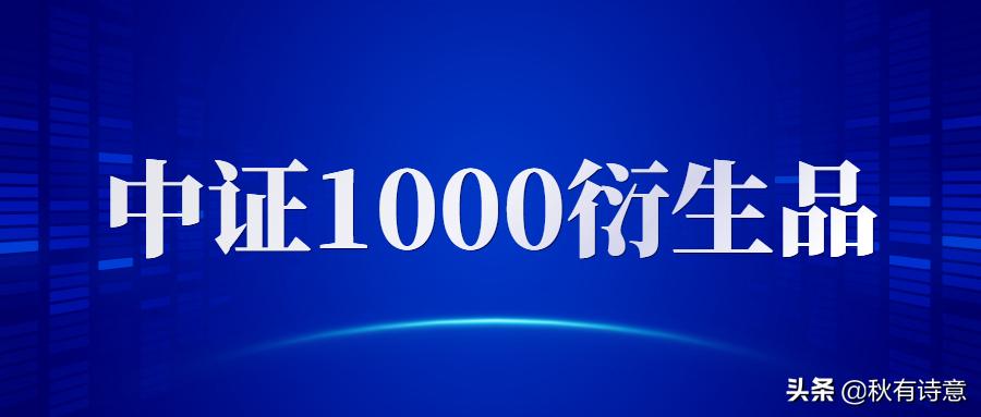 买中证1000etf与中证1000股指期货,什么是中证1000