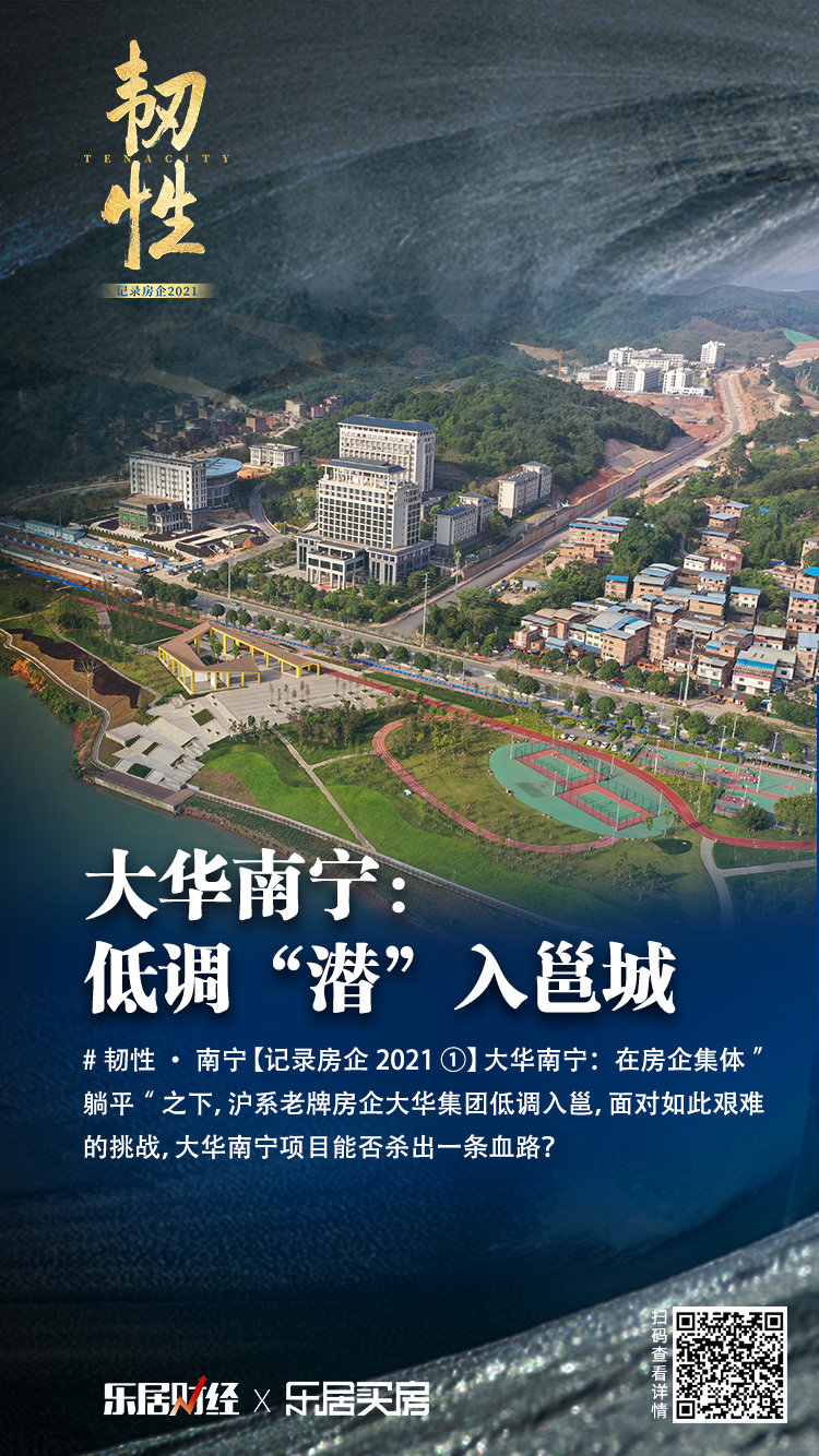 大华地产南宁,大华城南宁