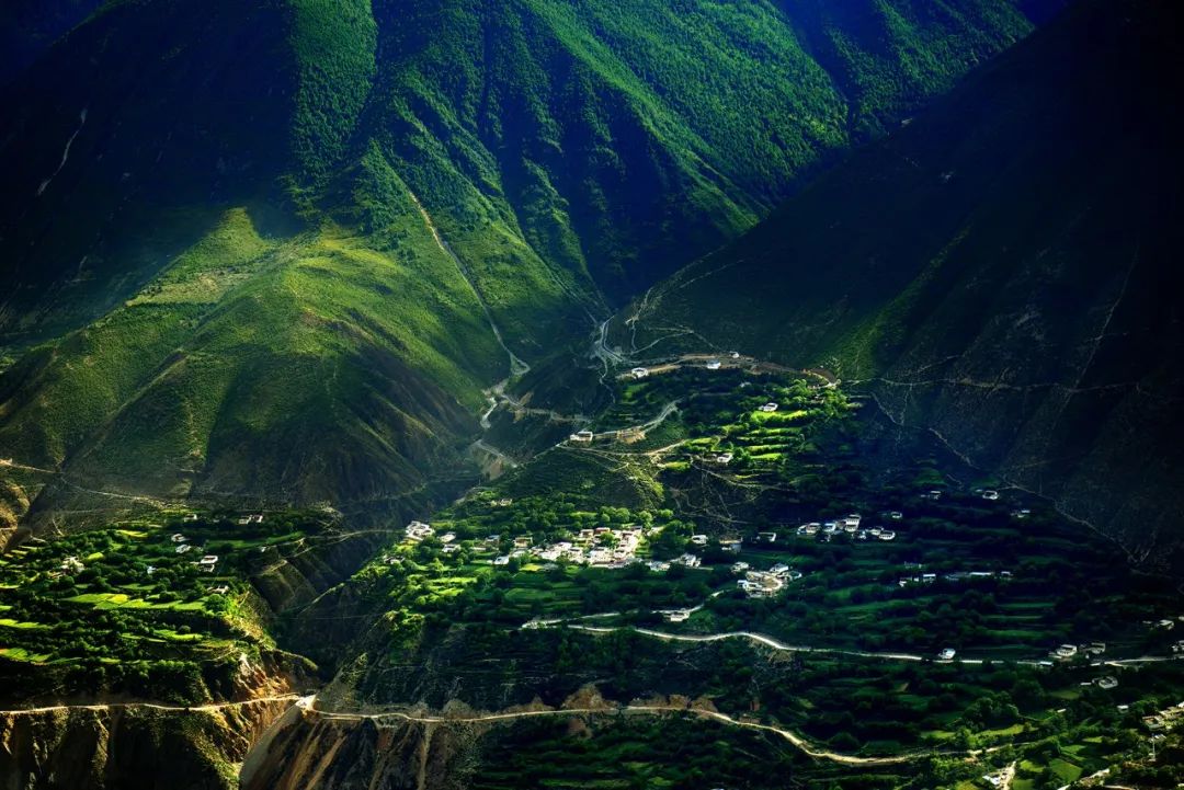 拐枣可以泡水和泡酒,拐枣与肉桂泡酒功效