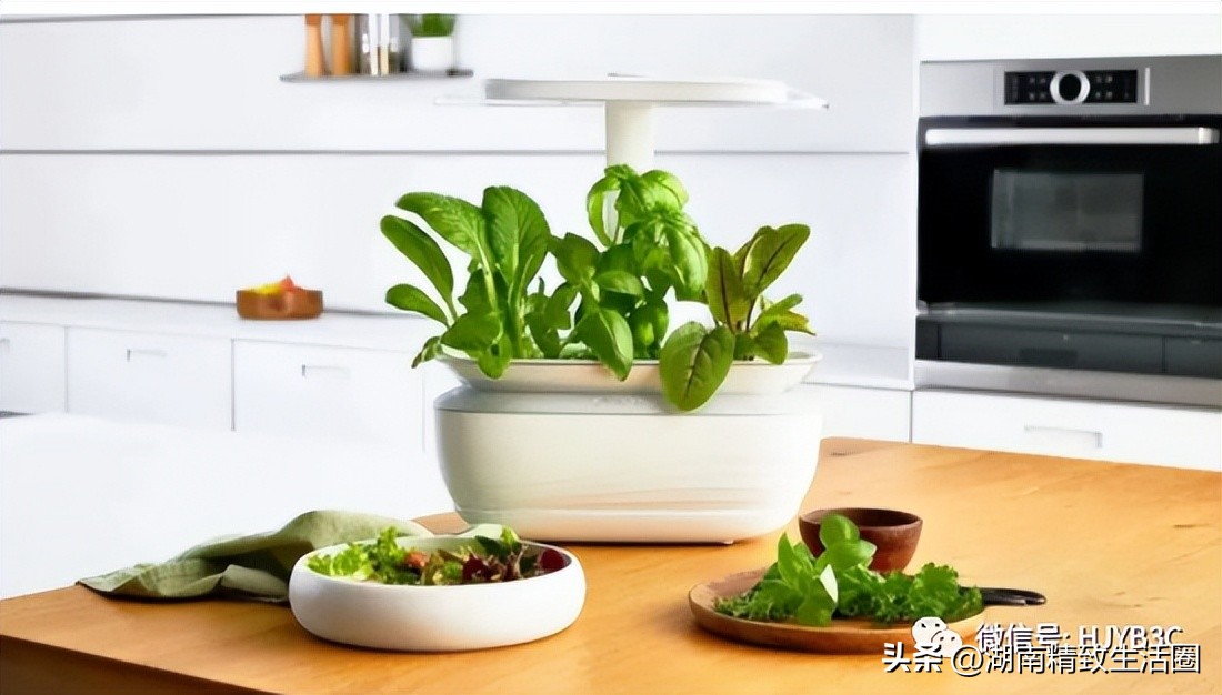 智能蔬果种植机,室内智能蔬菜种植机