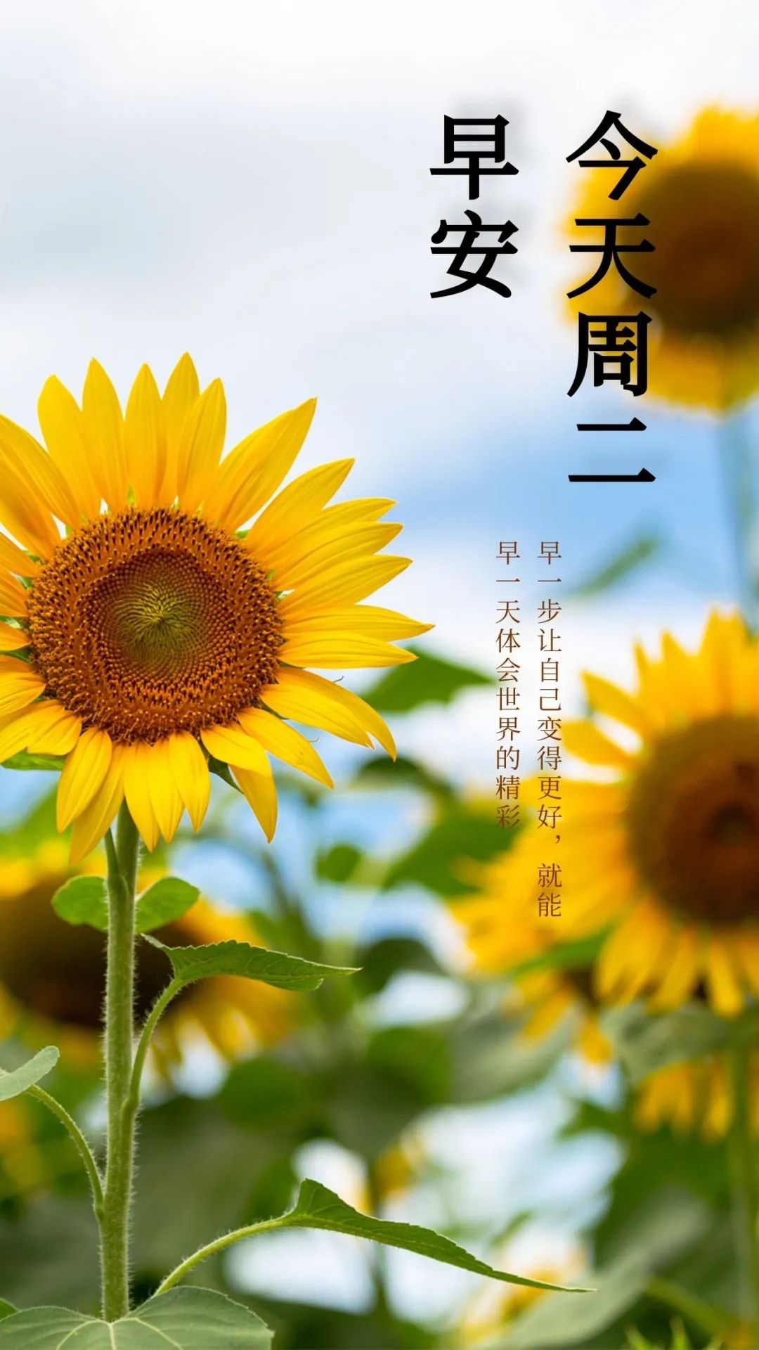 早安经典语录语句图片,早安经典语录及图片