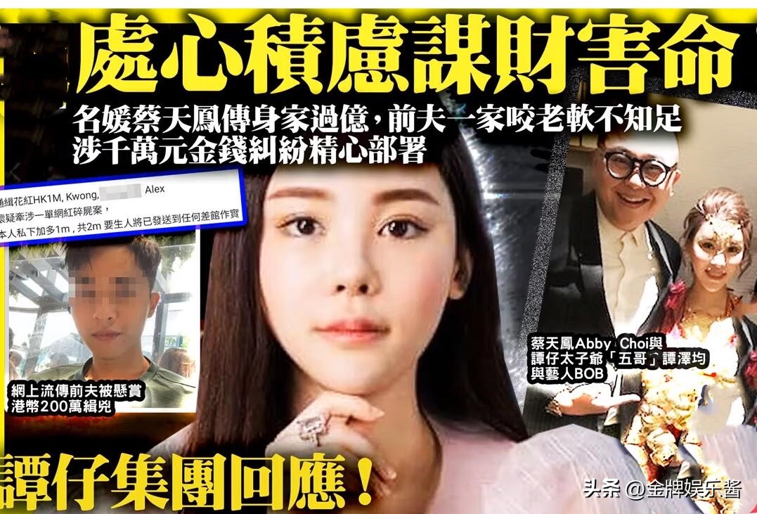 蔡天凤案怎么被人发现的,蔡天凤被害案全过程最新消息