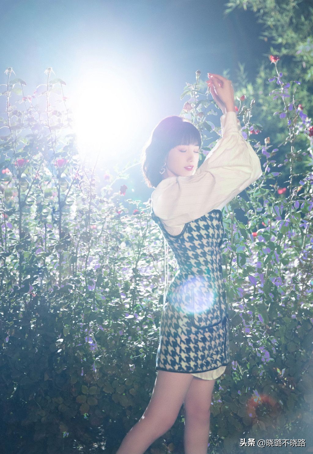 毛晓彤复古卷短发适合什么脸型,毛晓彤发型短发微卷