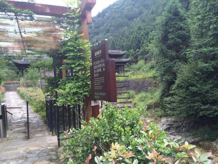 上海周边避暑新手自驾游推荐,上海周边自驾避暑胜地推荐