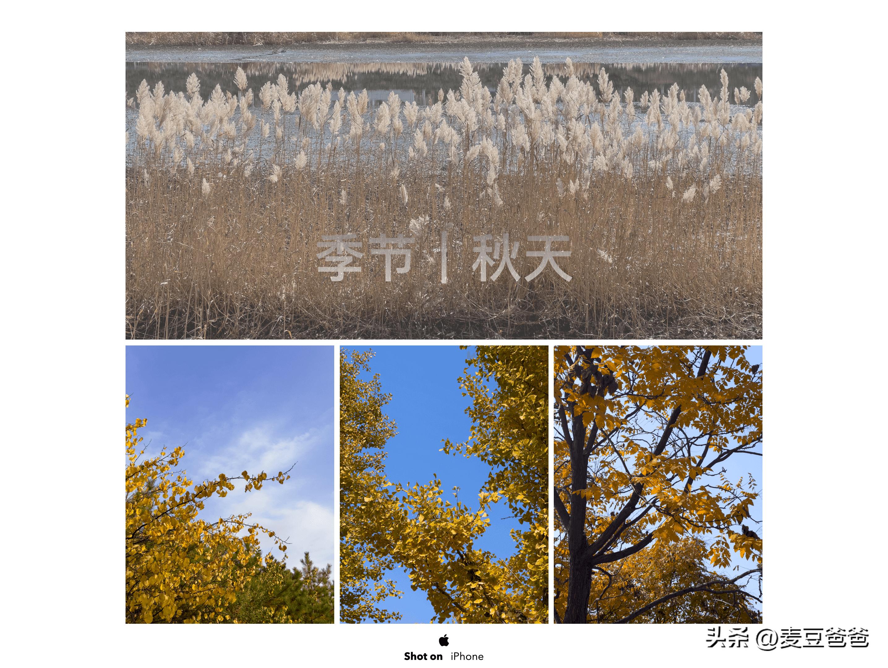 如何利用苹果14手机拍高清图片,iphone14如何拍出好看照片