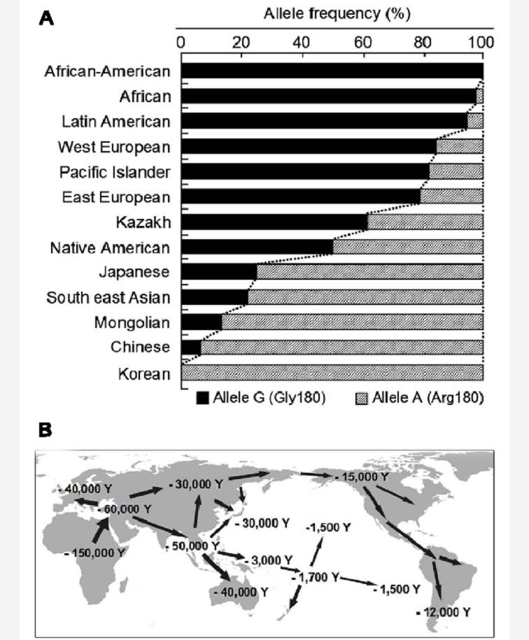 为什么西方人狐臭很少有人治疗呢,狐臭是所有人都有吗