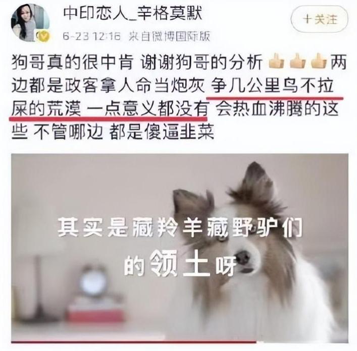 “拜金女”郑墨沫的“毁灭史”，她的诸多恶行，比你想得更加卑劣