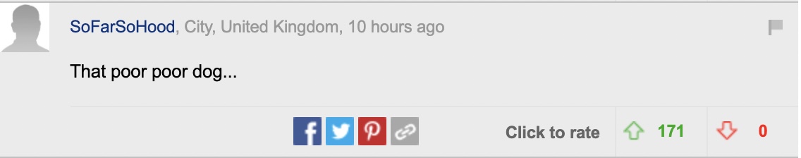 英国跨性别者性侵狗子被捕，获刑后抗议：我是女的，不去男监狱