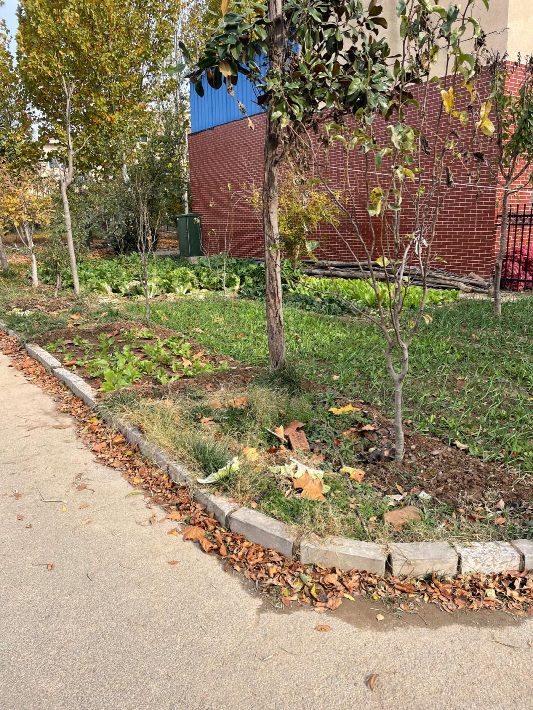 环渤海湾骑行记,环山东骑行日记青岛平度市