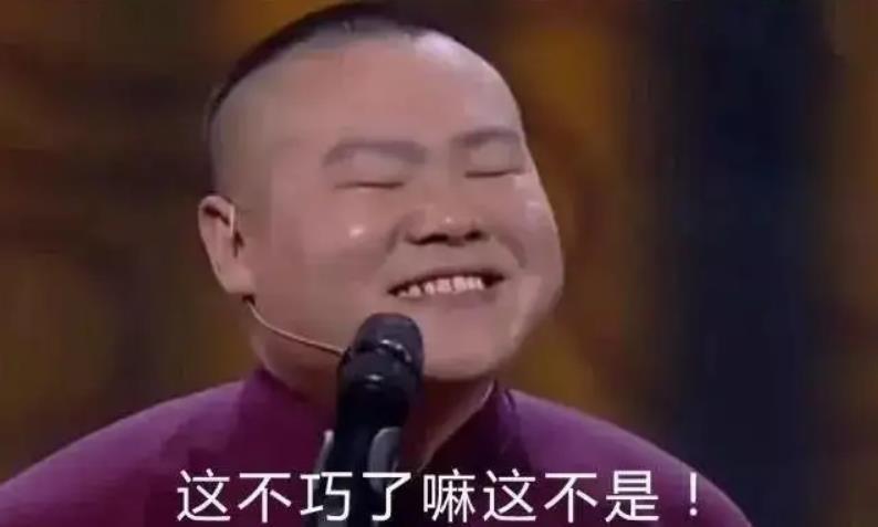 鑺冲績鑽℃季鑻辨枃鎻掓洸,鑺冲績鑽℃季鍘熺増