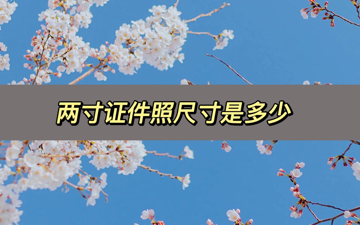 证件照两寸照片尺寸多少厘米,2寸证件照尺寸制作