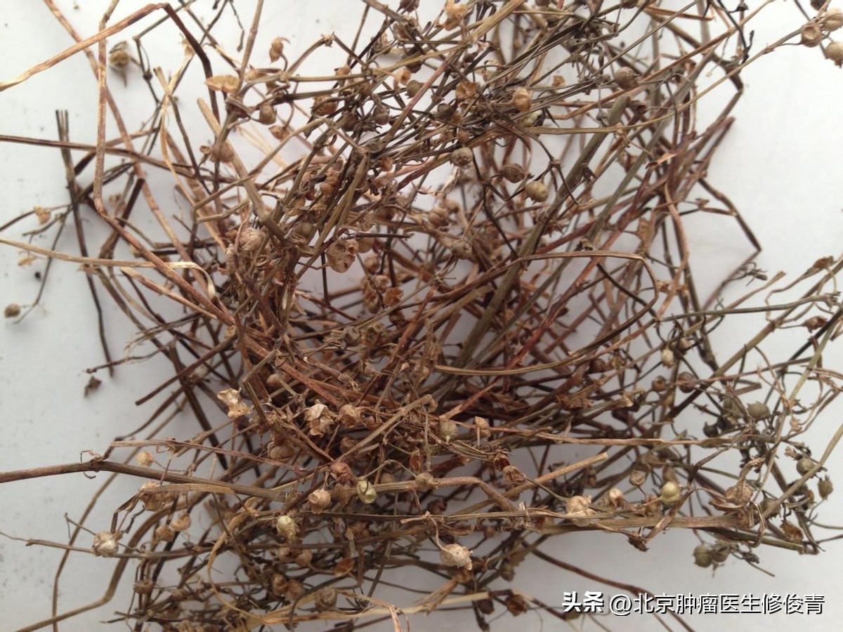 中医治疗胃癌经验方,中医治疗胃癌的医案