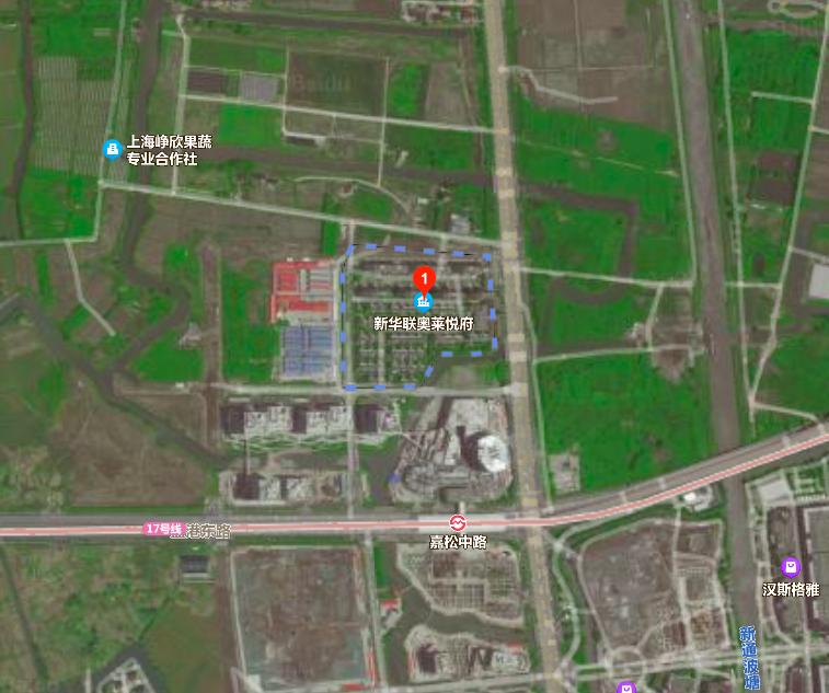 上海楼市的八大坑盘,上海楼市8大坑盘