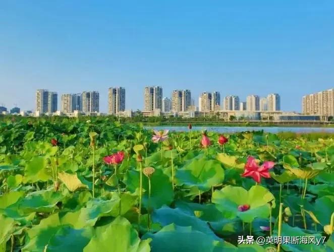 遂宁风景太美了,遂宁真的很美